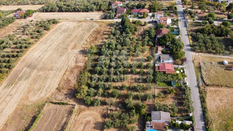 Αγροτεμάχια 2.639 τ.μ. προς πώληση, Αρχαία Πύδνα