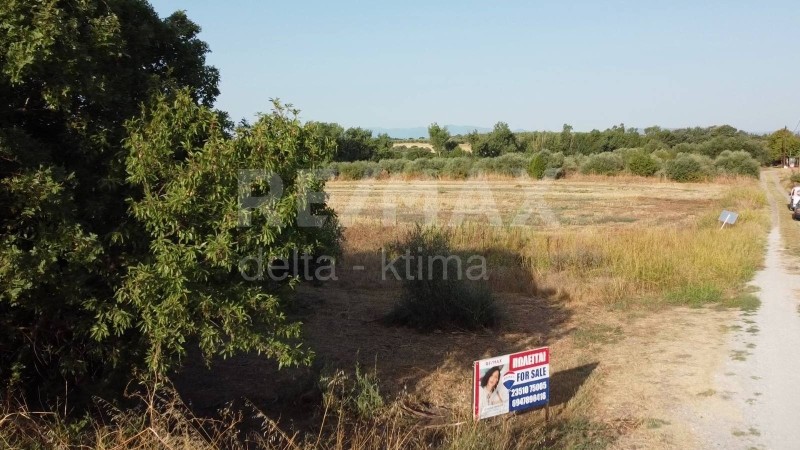 Αγροτεμάχια 2.639 τ.μ. προς πώληση, Αρχαία Πύδνα