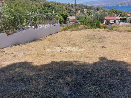 Parcel 500sqm for sale-Salamina
