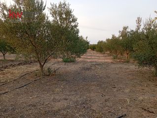 Οικόπεδο 5.500 τ.μ. για πώληση