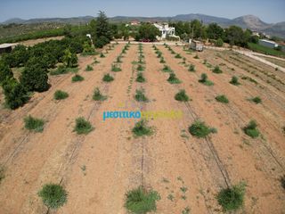 Οικόπεδο 4.454,24 τ.μ. για πώληση, Αργολίδα, Κουτσοπόδι-thumb-9