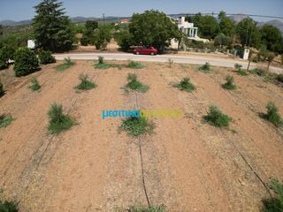Οικόπεδο 4.454,24 τ.μ. για πώληση, Αργολίδα, Κουτσοπόδι-thumb-11