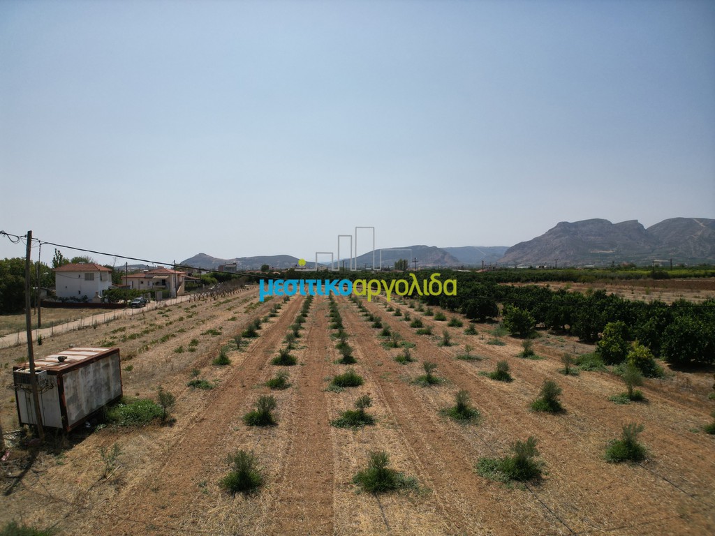 Οικόπεδο 4.454,24 τ.μ. για πώληση, Αργολίδα, Κουτσοπόδι