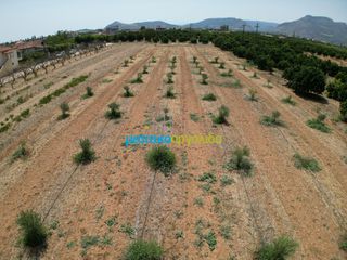 Οικόπεδο 4.454,24 τ.μ. για πώληση, Αργολίδα, Κουτσοπόδι-thumb-3