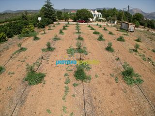 Οικόπεδο 4.454,24 τ.μ. για πώληση, Αργολίδα, Κουτσοπόδι-thumb-10