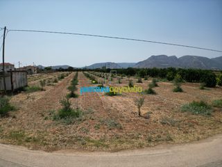 Οικόπεδο 4.454,24 τ.μ. για πώληση, Αργολίδα, Κουτσοπόδι-thumb-21