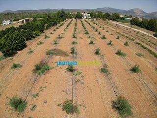 Οικόπεδο 4.454,24 τ.μ. για πώληση, Αργολίδα, Κουτσοπόδι-thumb-7