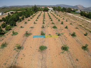 Οικόπεδο 4.454,24 τ.μ. για πώληση, Αργολίδα, Κουτσοπόδι-thumb-8