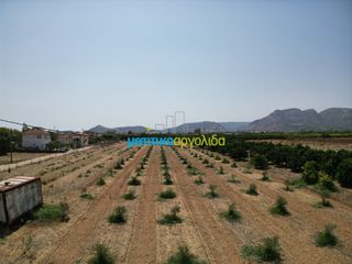 Οικόπεδο 4.454,24 τ.μ. για πώληση, Αργολίδα, Κουτσοπόδι-thumb-1