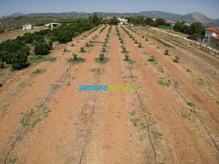 Οικόπεδο 4.454,24 τ.μ. για πώληση, Αργολίδα, Κουτσοπόδι-thumb-6