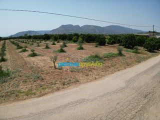 Οικόπεδο 4.454,24 τ.μ. για πώληση, Αργολίδα, Κουτσοπόδι-thumb-20