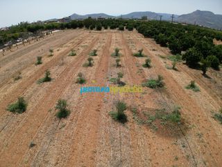 Οικόπεδο 4.454,24 τ.μ. για πώληση, Αργολίδα, Κουτσοπόδι-thumb-4