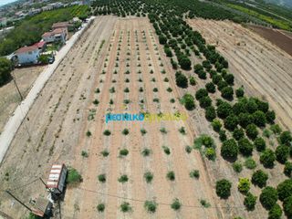 Οικόπεδο 4.454,24 τ.μ. για πώληση, Αργολίδα, Κουτσοπόδι-thumb-2
