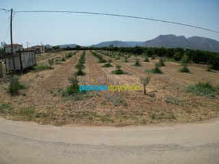 Οικόπεδο 4.454,24 τ.μ. για πώληση, Αργολίδα, Κουτσοπόδι-thumb-19