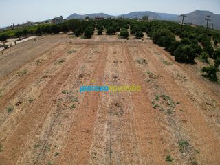 Οικόπεδο 4.454,24 τ.μ. για πώληση, Αργολίδα, Κουτσοπόδι-thumb-5