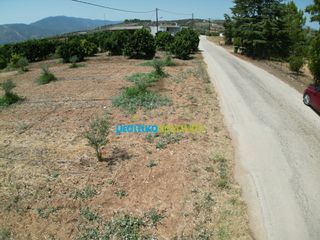 Οικόπεδο 4.454,24 τ.μ. για πώληση, Αργολίδα, Κουτσοπόδι-thumb-17