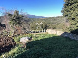 Διαμέρισμα 65 τ.μ. για πώληση, Ν. Ιωαννίνων, Δωδώνη-thumb-4