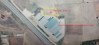 Αγροτεμάχια 4.205 τ.μ. για πώληση