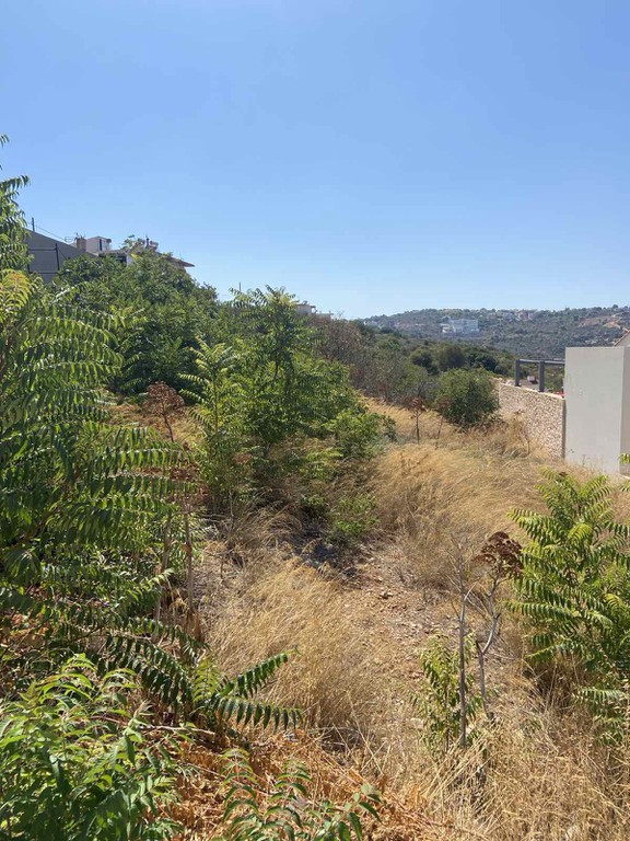 Οικόπεδο 1.000 τ.μ. προς πώληση, Ακρωτήρι Χανίων