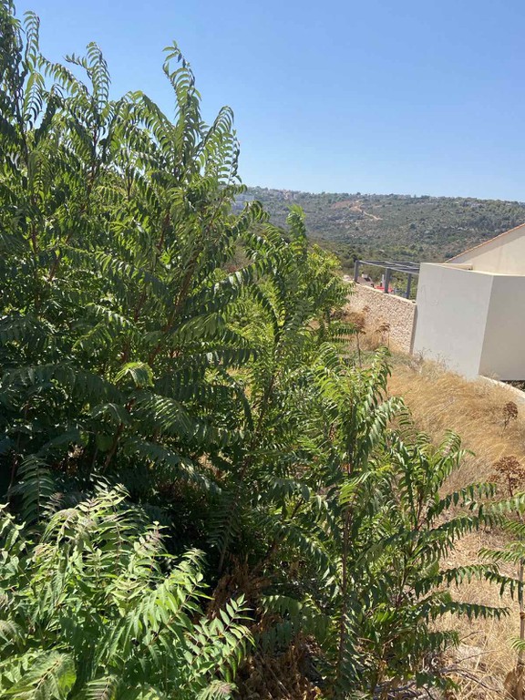Οικόπεδο 1.000 τ.μ. προς πώληση, Ακρωτήρι Χανίων