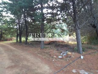 Οικόπεδο 402 τ.μ. προς πώληση, Μονεμβασιά-thumb-2