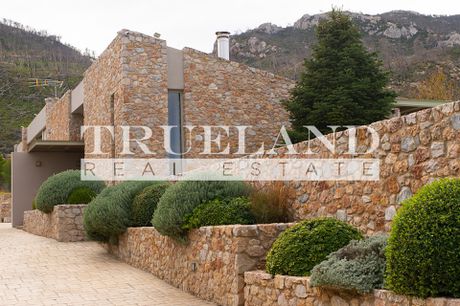 Detached home 460sqm for sale-Afidnes
