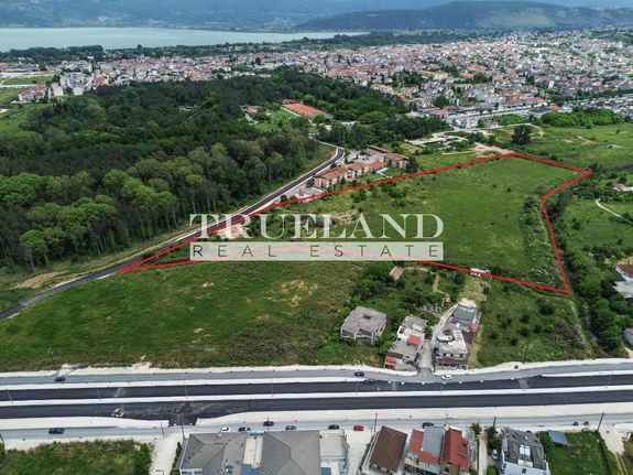 Land plot 41.657 sqm for sale, Ioannina Prefecture, Ioannina