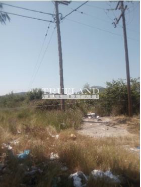 Αγροτεμάχια 7.489 τ.μ. για πώληση, Μεσσηνία, Μελιγαλά