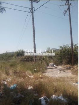 Αγροτεμάχια 7.489τ.μ. για πώληση-Μελιγαλά