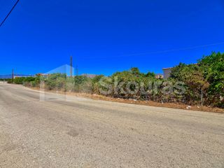 Οικόπεδο 514 τ.μ. για πώληση, Αργολίδα, Μιδέα-thumb-13