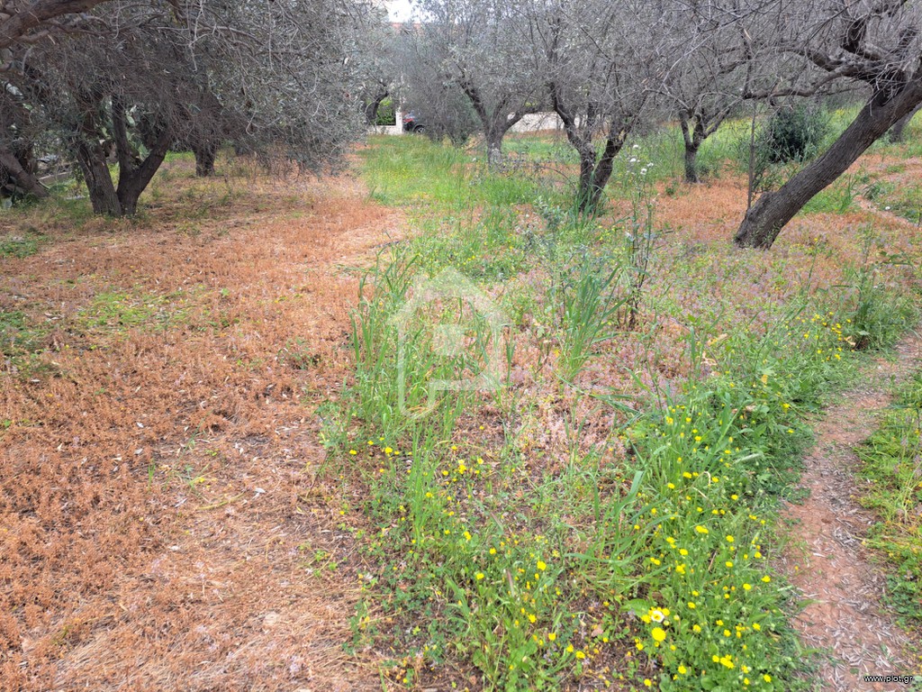 Μονοκατοικία 20 τ.μ. προς ενοικίαση, Μηλαδέζα