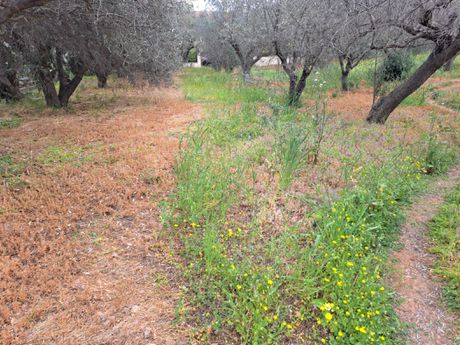 Μονοκατοικία 20 τ.μ. προς ενοικίαση