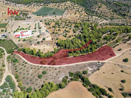 Οικόπεδο 15.000τ.μ. για πώληση-Κρανίδι