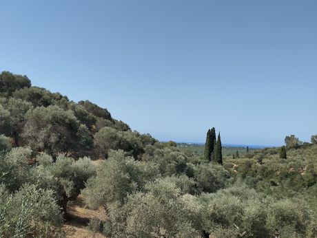 Οικόπεδο 1.897τ.μ. για πώληση-Νέστορας » Πισάσκι