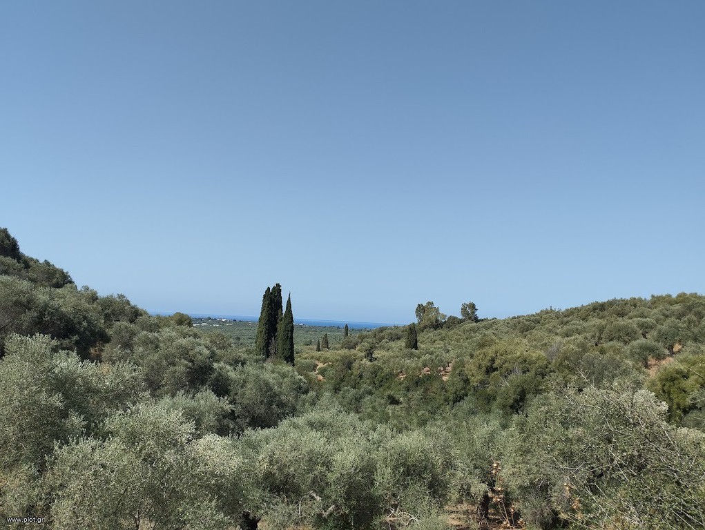 Οικόπεδο 1.897 τ.μ. προς πώληση, Πισάσκι