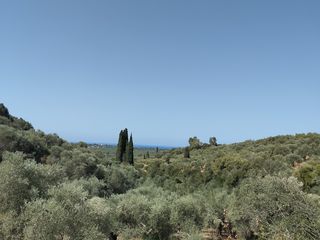 Οικόπεδο 1.897 τ.μ. για πώληση, Μεσσηνία, Νέστορας-thumb-1
