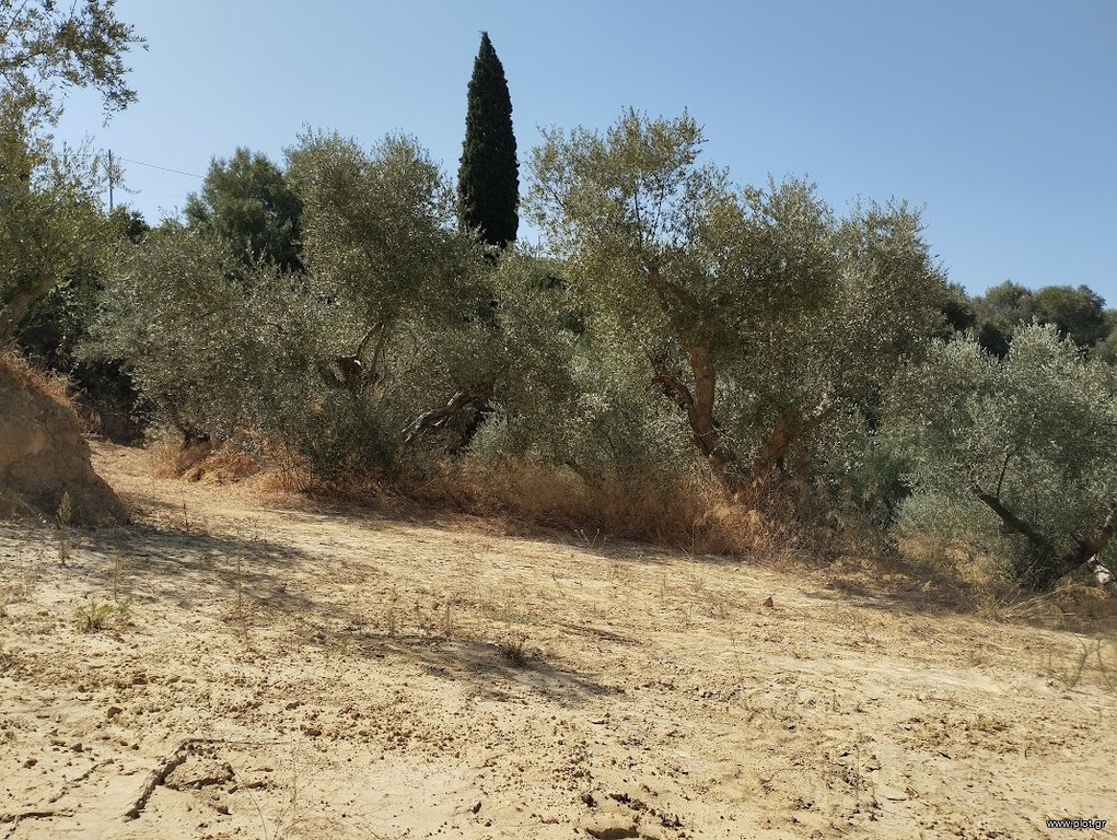 Οικόπεδο 1.897 τ.μ. προς πώληση, Πισάσκι