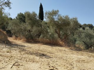 Οικόπεδο 1.897 τ.μ. για πώληση, Μεσσηνία, Νέστορας-thumb-3
