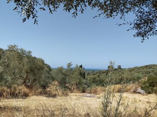 Οικόπεδο 1.897 τ.μ. για πώληση, Μεσσηνία, Νέστορας-thumb-5