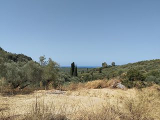 Οικόπεδο 1.897 τ.μ. για πώληση, Μεσσηνία, Νέστορας-thumb-6