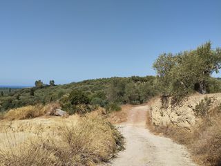 Οικόπεδο 1.897 τ.μ. για πώληση, Μεσσηνία, Νέστορας-thumb-7