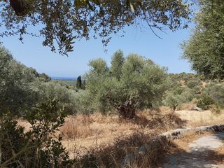Οικόπεδο 1.897 τ.μ. για πώληση, Μεσσηνία, Νέστορας-thumb-8