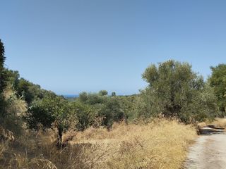 Οικόπεδο 1.897 τ.μ. για πώληση, Μεσσηνία, Νέστορας-thumb-10