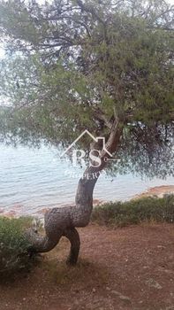 Land plot 2.500sqm for sale-Malesina » Proskinas