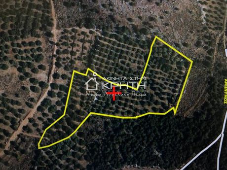 Land plot 12.641sqm for sale-Ierapetra » Pacheia Ammos