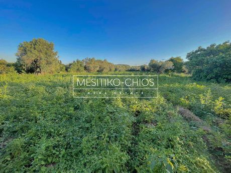 Land plot 5.342,52sqm for sale-Chios » Kampochoria