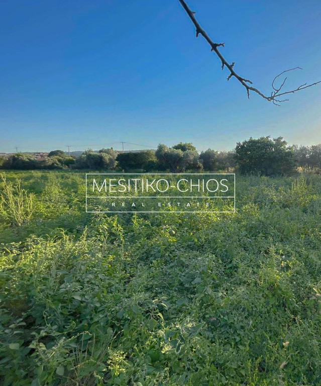 Οικόπεδο 5.342,52 τ.μ. προς πώληση, Καμποχώρια