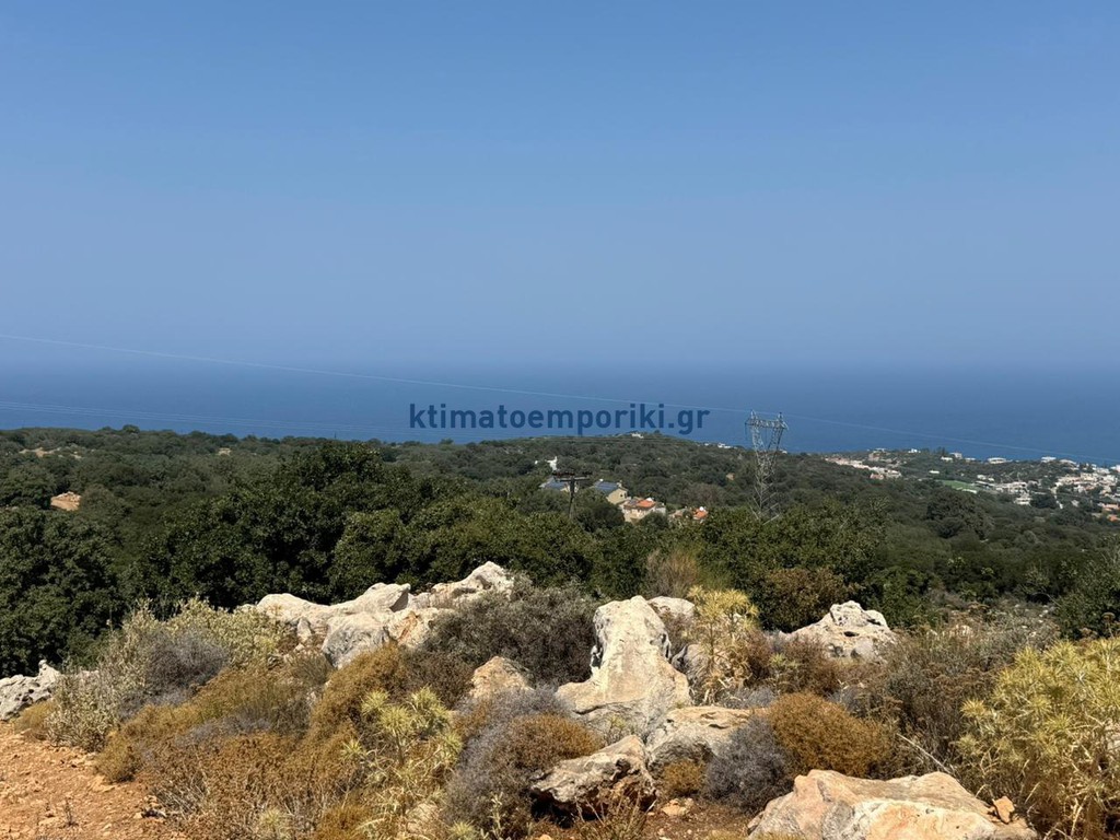 Αγροτεμάχια 21.000 τ.μ. πρός πώληση, Ν. Ρεθύμνου, Νικηφόρος Φωκάς