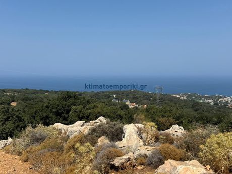 Αγροτεμάχια 21.000τ.μ. για πώληση-Νικηφόρος φωκάς