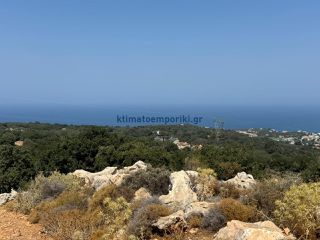 Αγροτεμάχια 21.000 τ.μ. για πώληση